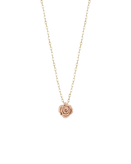 Rose Gold Necklace